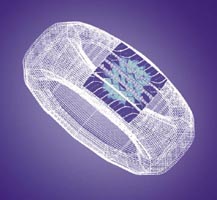 шины Максис, покрышки maxxis, резина maxxis